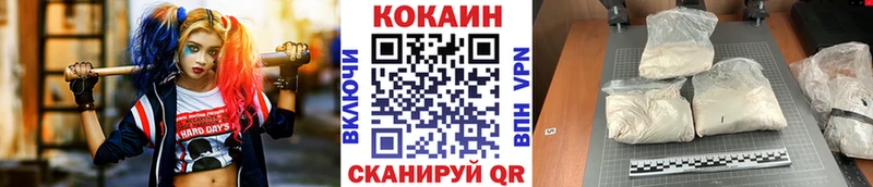 продажа наркотиков  Северобайкальск  Cocaine FishScale 