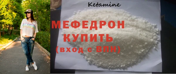 индика Дмитриев