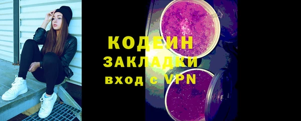 индика Дмитриев