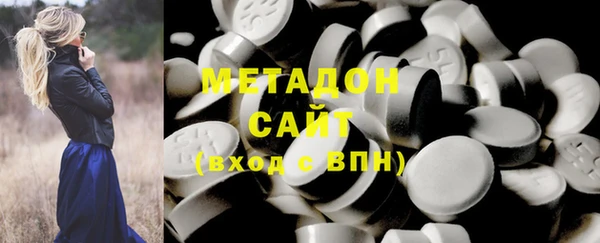 индика Дмитриев