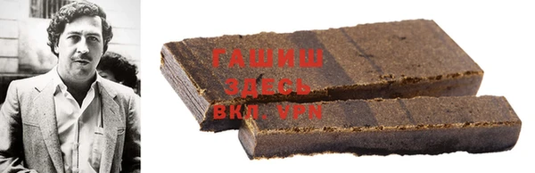 индика Дмитриев