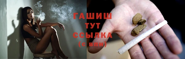 индика Дмитриев