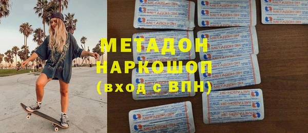 индика Дмитриев