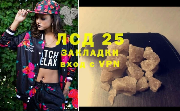 индика Дмитриев