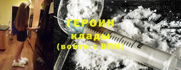 индика Дмитриев
