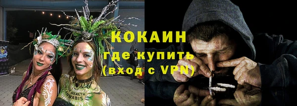 индика Дмитриев