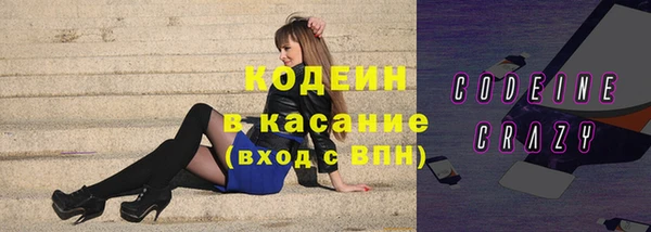 индика Дмитриев