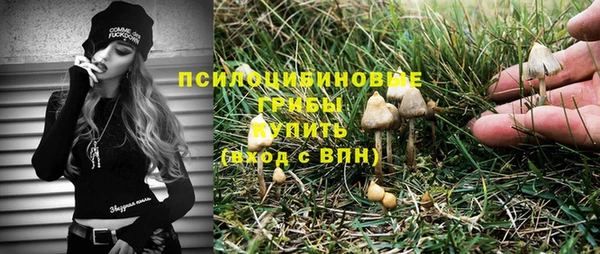 прущая мука Елабуга